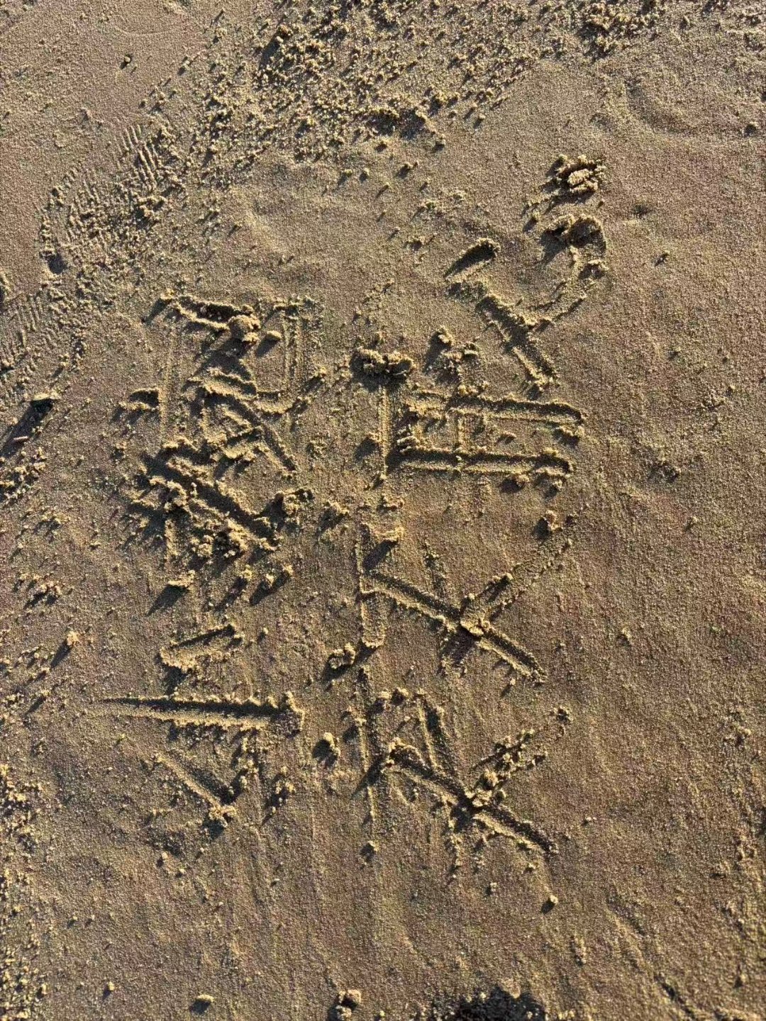 谢谢