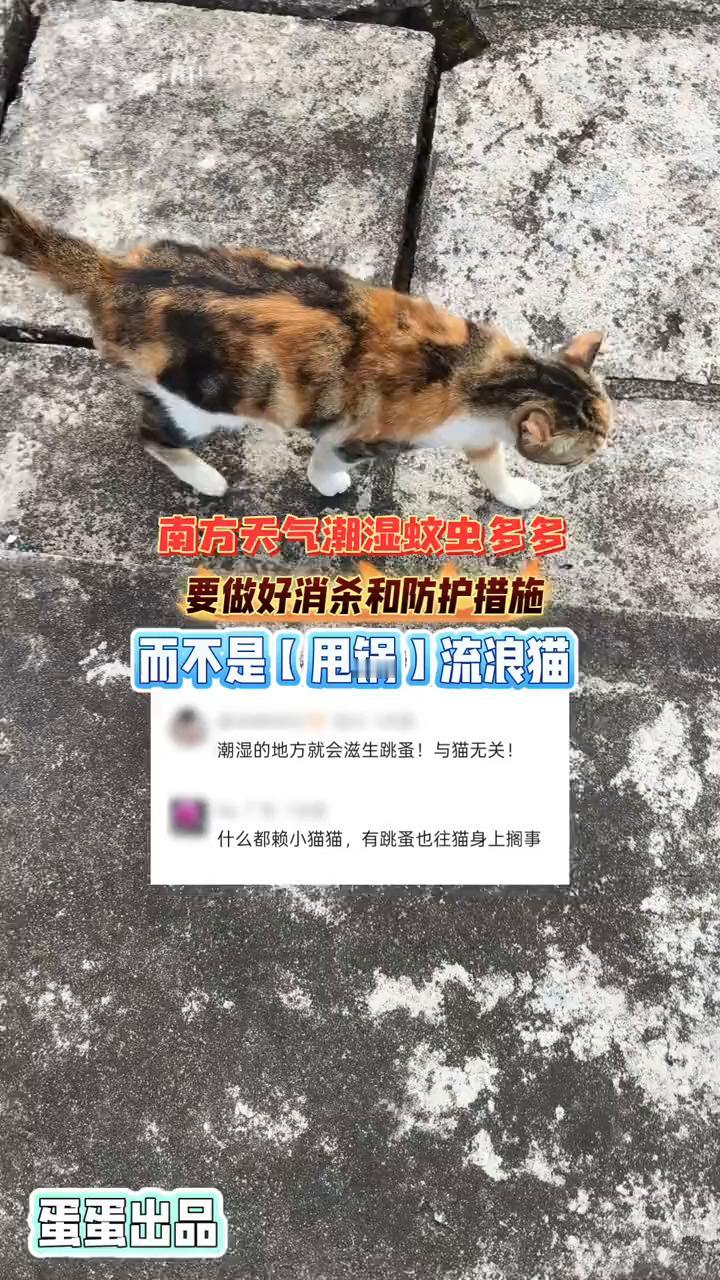 南方天气潮湿蚊虫多多，要做好消杀和防护措施，而不是甩锅流浪猫。
潮湿的地方就会滋