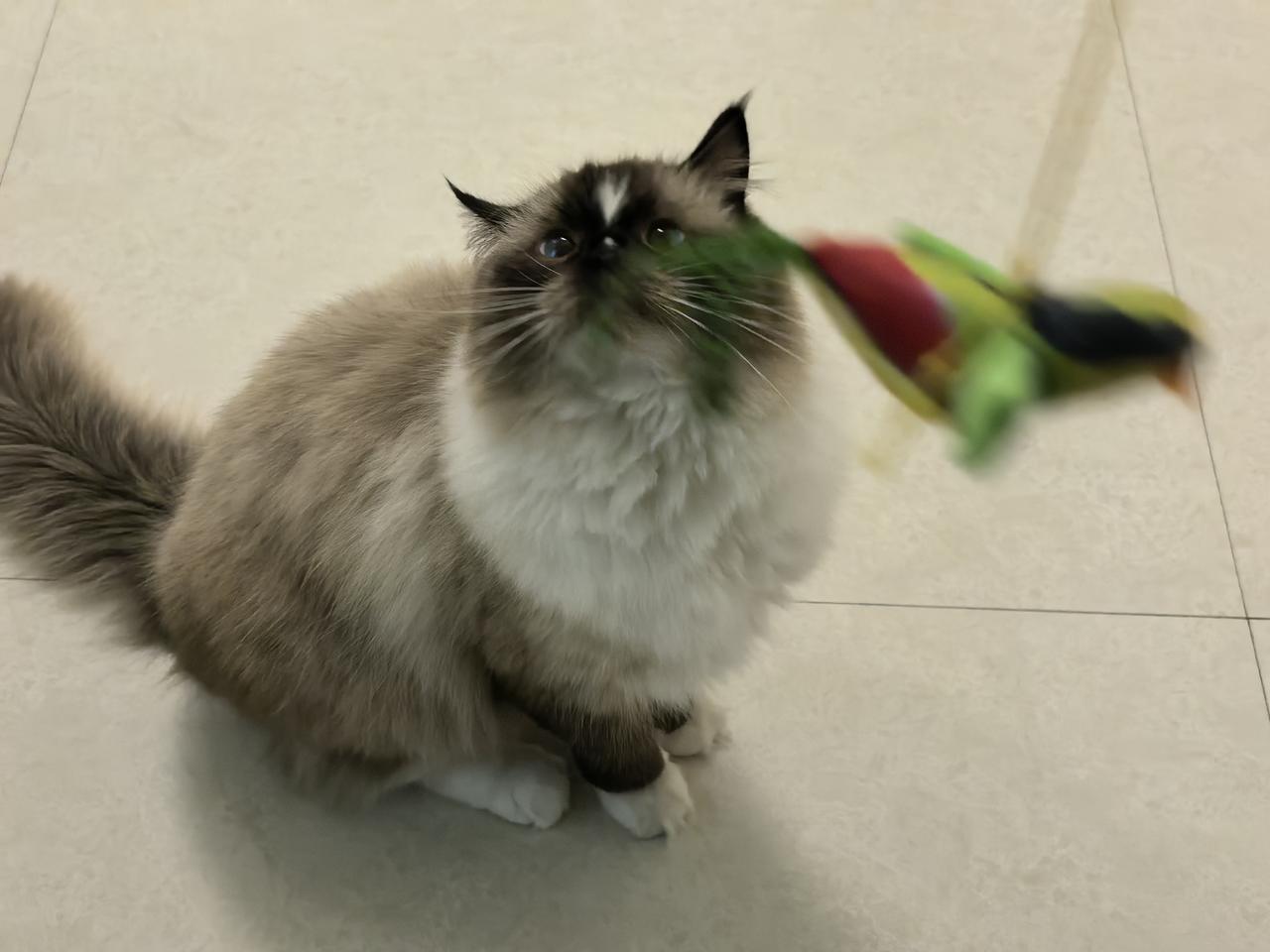 存不下钱的人，都犯了同一个错
 
你是不是也这样？每个月发工资时信誓旦旦“今年一