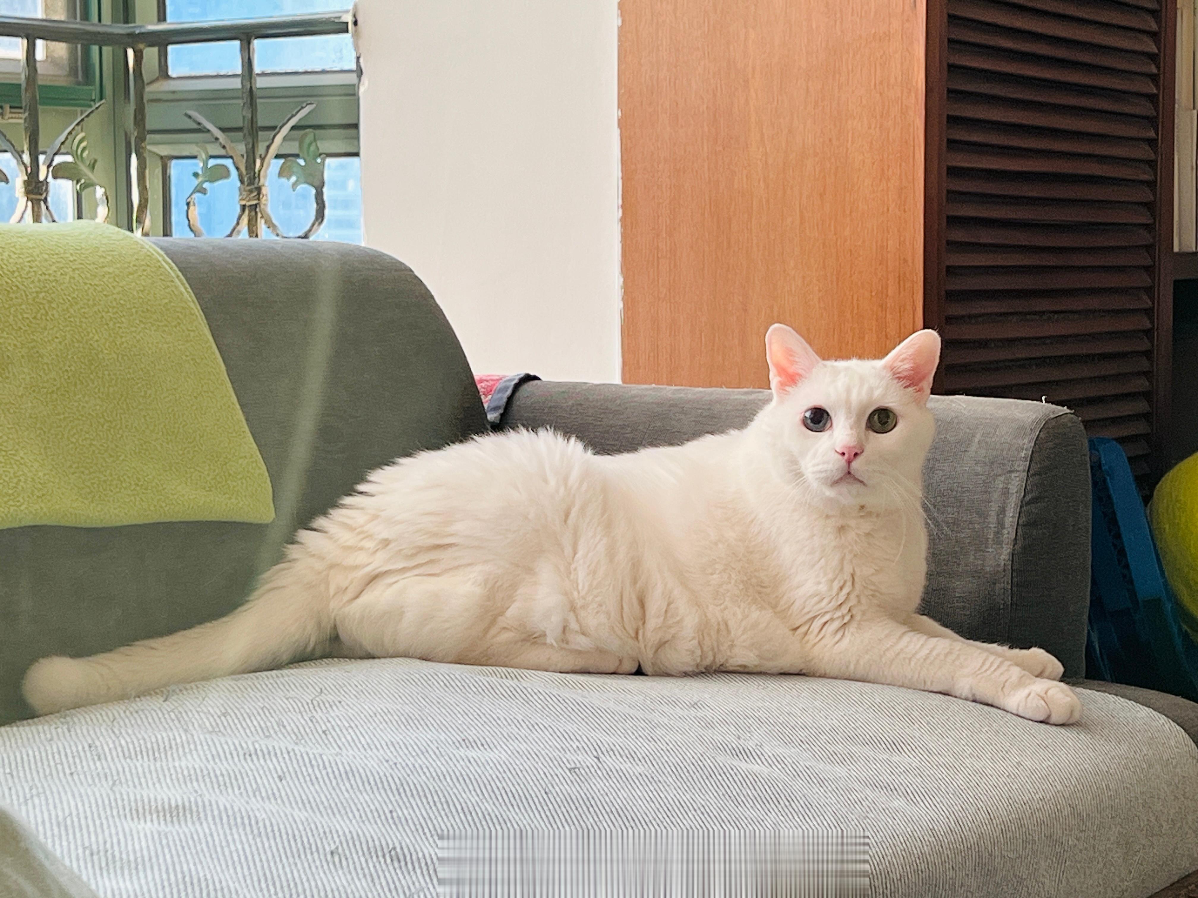 躺躺的時候，面積會擴大。 ​​​