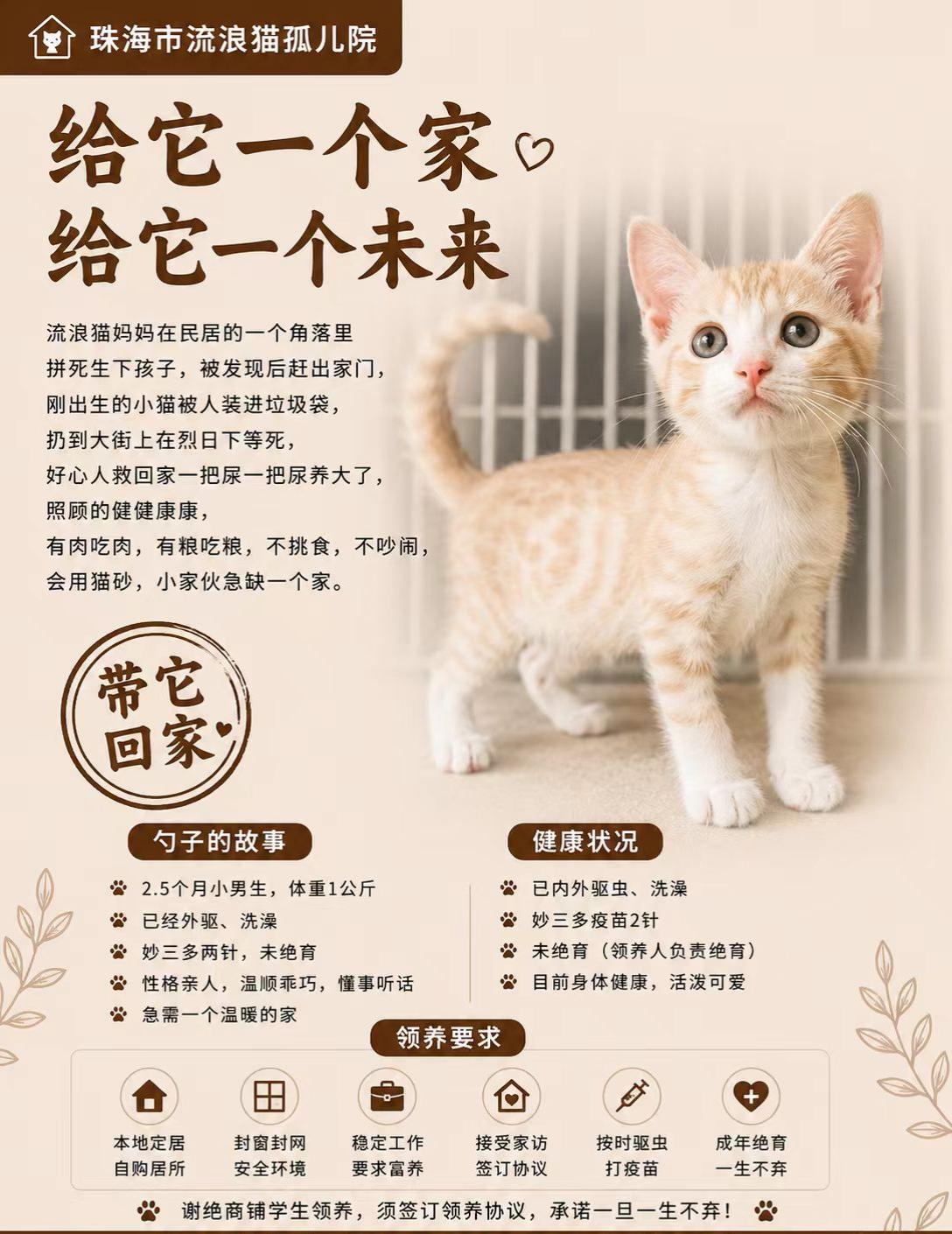 珠海救助人救助的一大波流浪猫寻找爱心领养，有意向联系我，感恩！
​