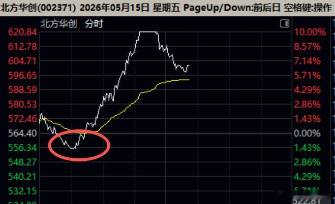 孙红雷