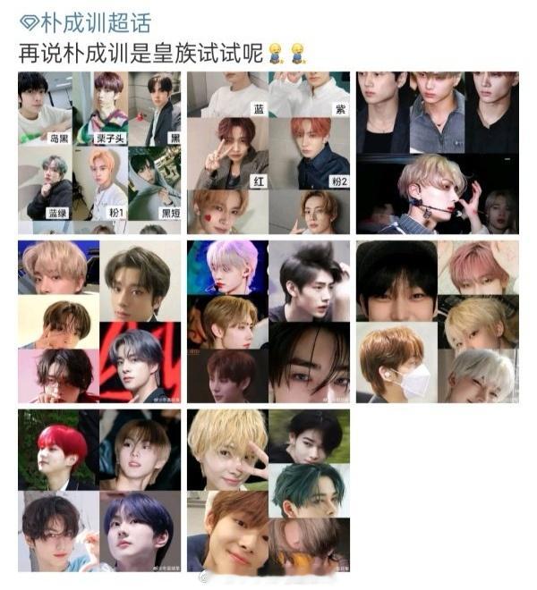 tg ENHYPEN的皇族本来就是李羲承吧，有理有据，都快成调色盘了 ​​​