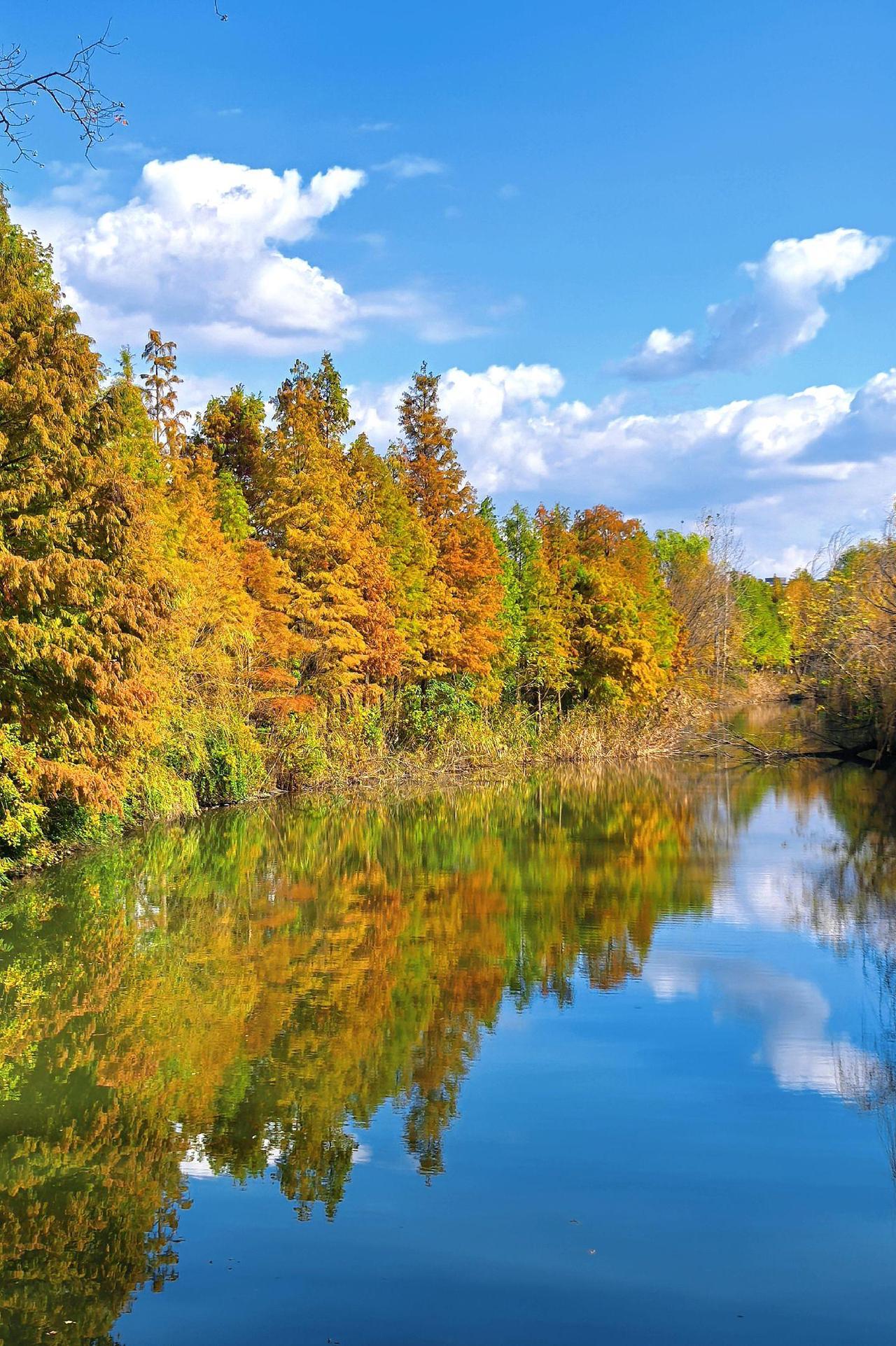 南京城在不同的季节都是非常漂亮的。这个是在什么地方拍的，大家猜一猜看？