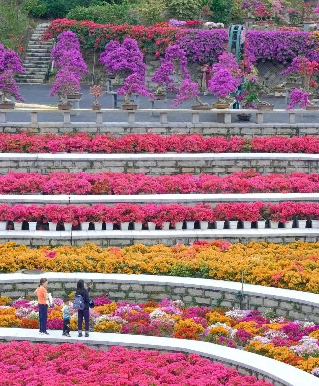 上联：芳草萋萋映碧空，繁花似锦绕阶行。
下联：[火炬][火炬][火炬][火炬][