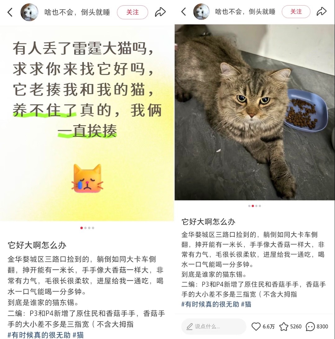 苦难是文学的温床哈哈哈哈哈哈哈 ​​​