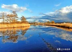 某知名品牌推出了新款产品，主打“环保”概念，并声称使用了可持续材料，不少消费者却