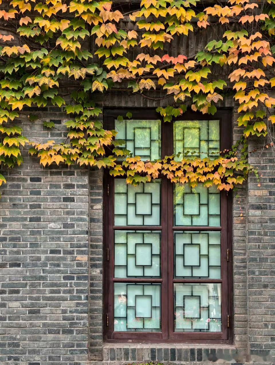 遇上对的人，跟遇上对的股票一样本质上都是缘分与选择的结合，需要理性判断与情感投入