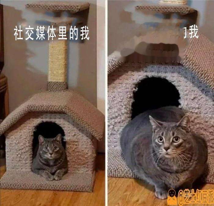  ​​​