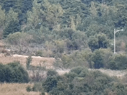 韩朝局势紧张炸断道路准备对轰？大有重演俄乌冲突当时的战法！
最新消息：韩国声称，