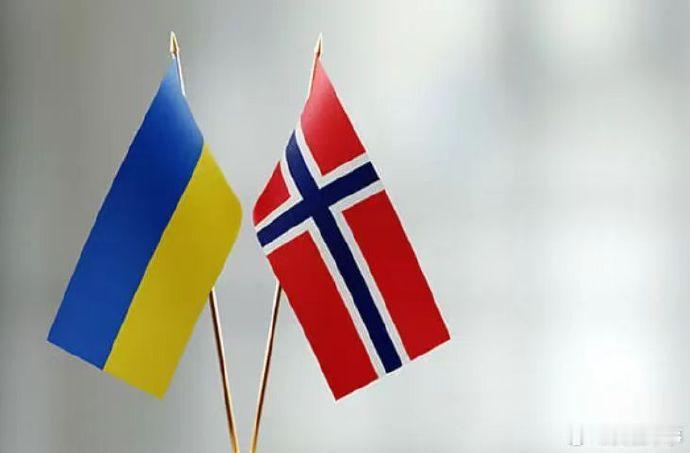 【乌克兰与挪威联合生产无人机将交付】乌克兰国防部官网27日发布消息说，乌克兰与挪