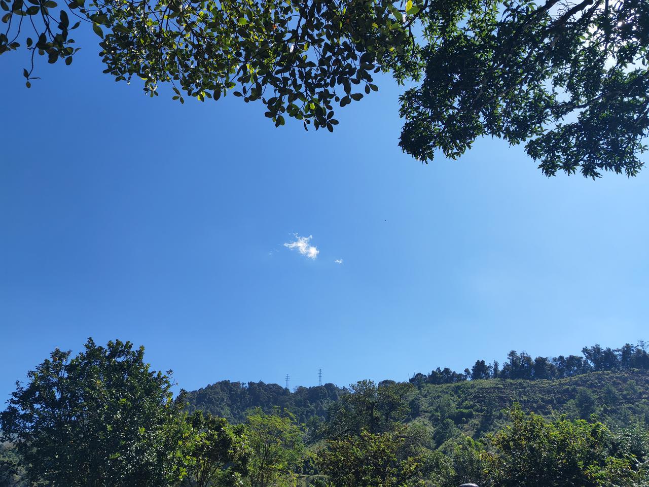 晒一晒蓝天白云下的景色蓝天本无云，突然发现一点白云变大，又慢慢消失。