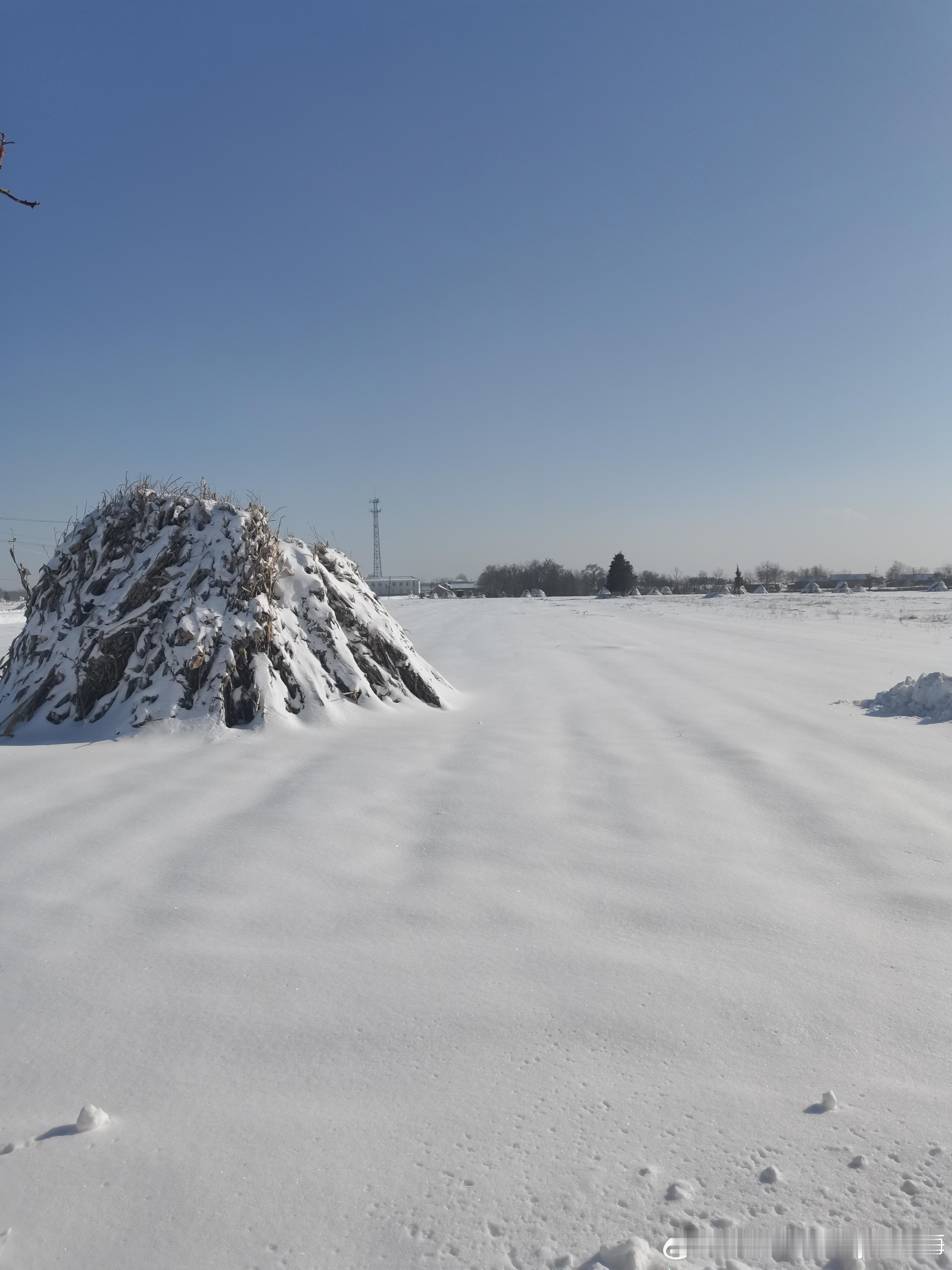 大西北冬天的萧条和空旷，大片大片的雪掩盖了旷野里的枯枝与衰败，一眼望去整个村庄就