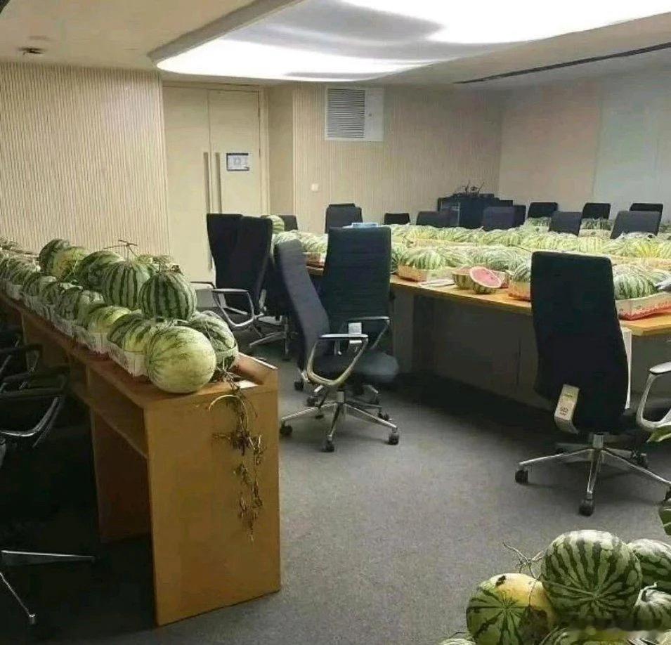 简直是降维打击啊，让他们过把瘾