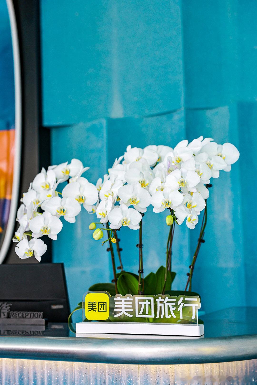 那些说冲浪很难的人 来看看美团旅行王牌海岛季国职教练手把手教 零基础也能站上板?