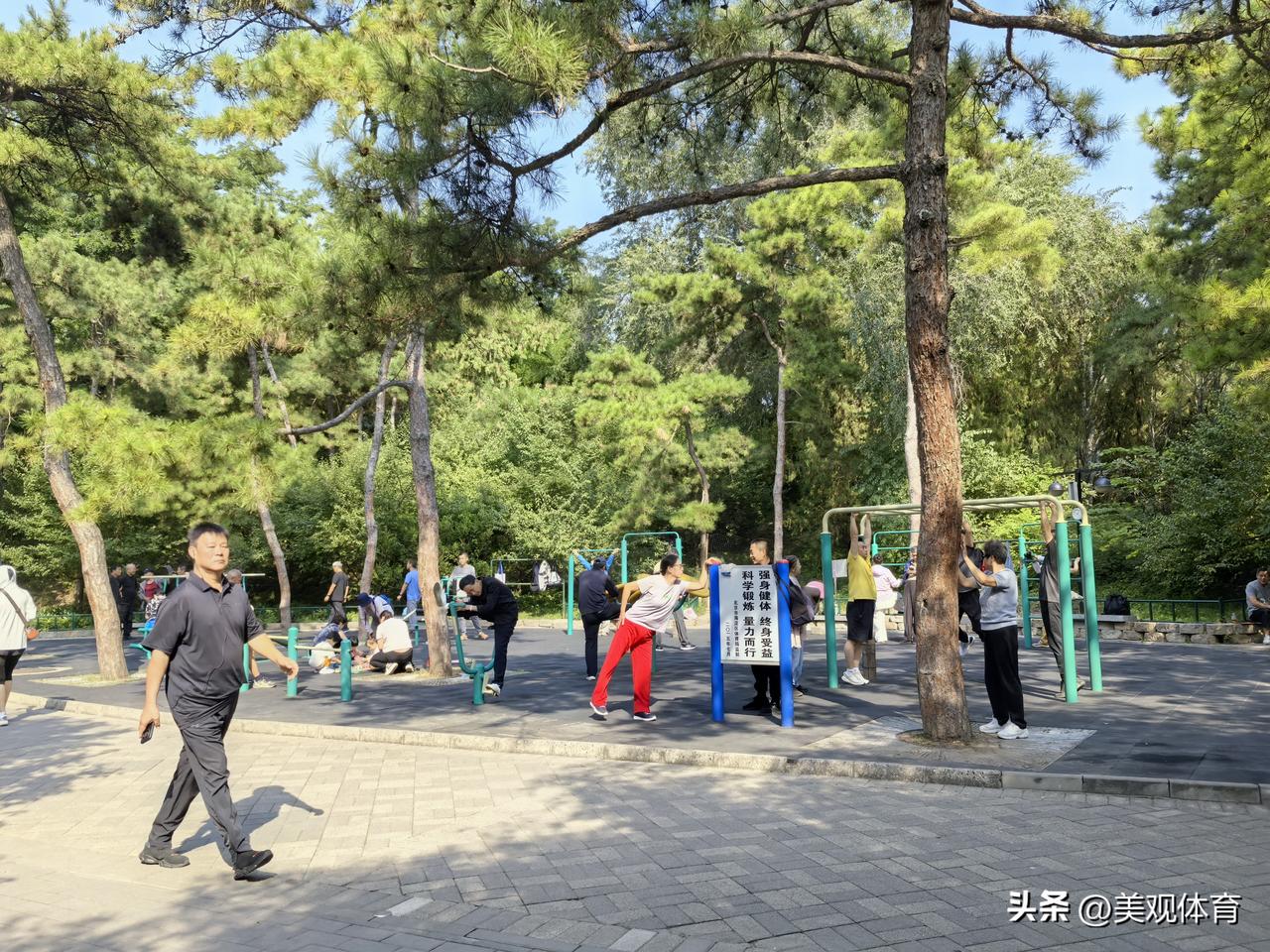 公园尽显宁静祥和