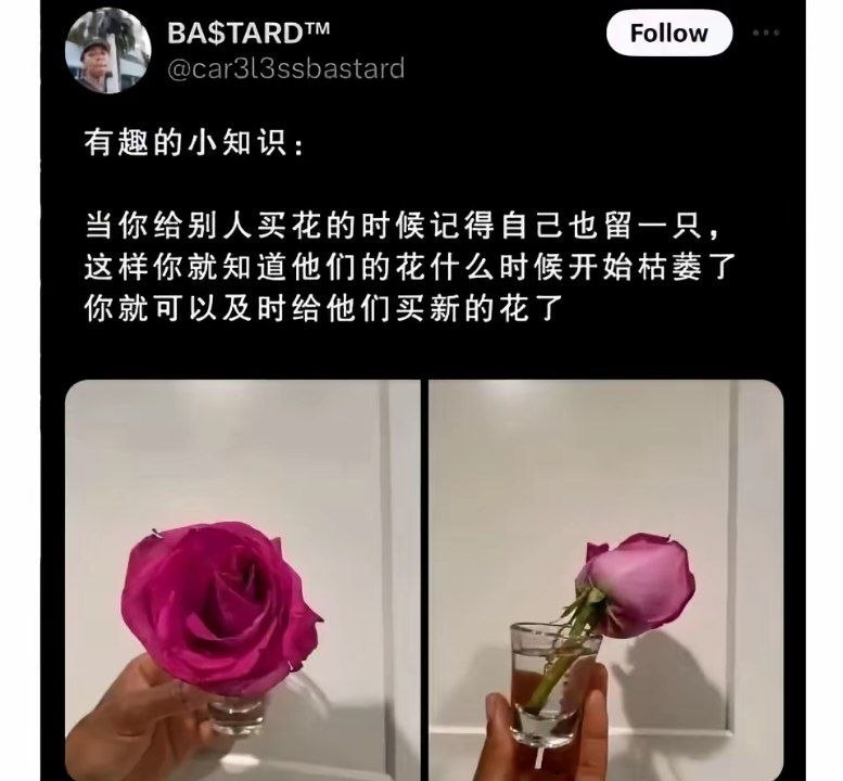 顶级小知识 