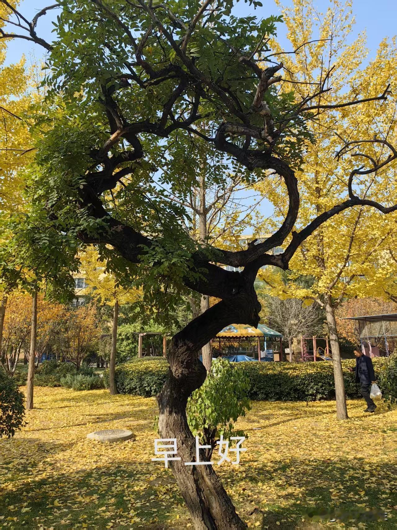 生命的两端

在时光长河的幽谧两岸，生命以独特的姿态铺展出两幅相似的画卷。一端，