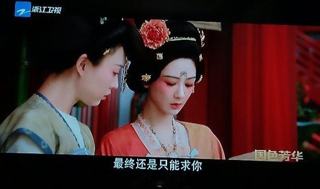 自从上次紫的国色芳华就在浙江卫视播了之后就再也没播了浙江卫视你可不可以多播紫电视
