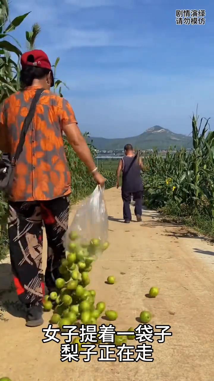 女子提着一袋子梨子正在走，谁知袋子烂了，梨子撒了一地。这时男子看到这一幕，然后他