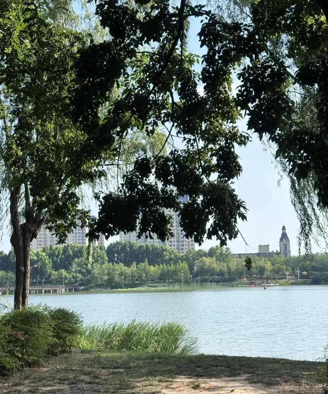 昨天实在热得受不了，我推开家门一看，我那70岁的老妈正满头大汗地蹲在客厅，手里使