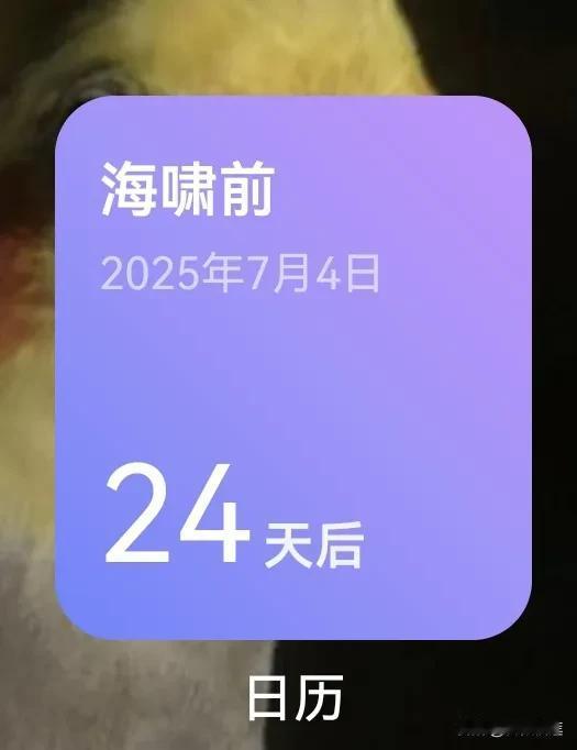 今天是2025年6月10日
