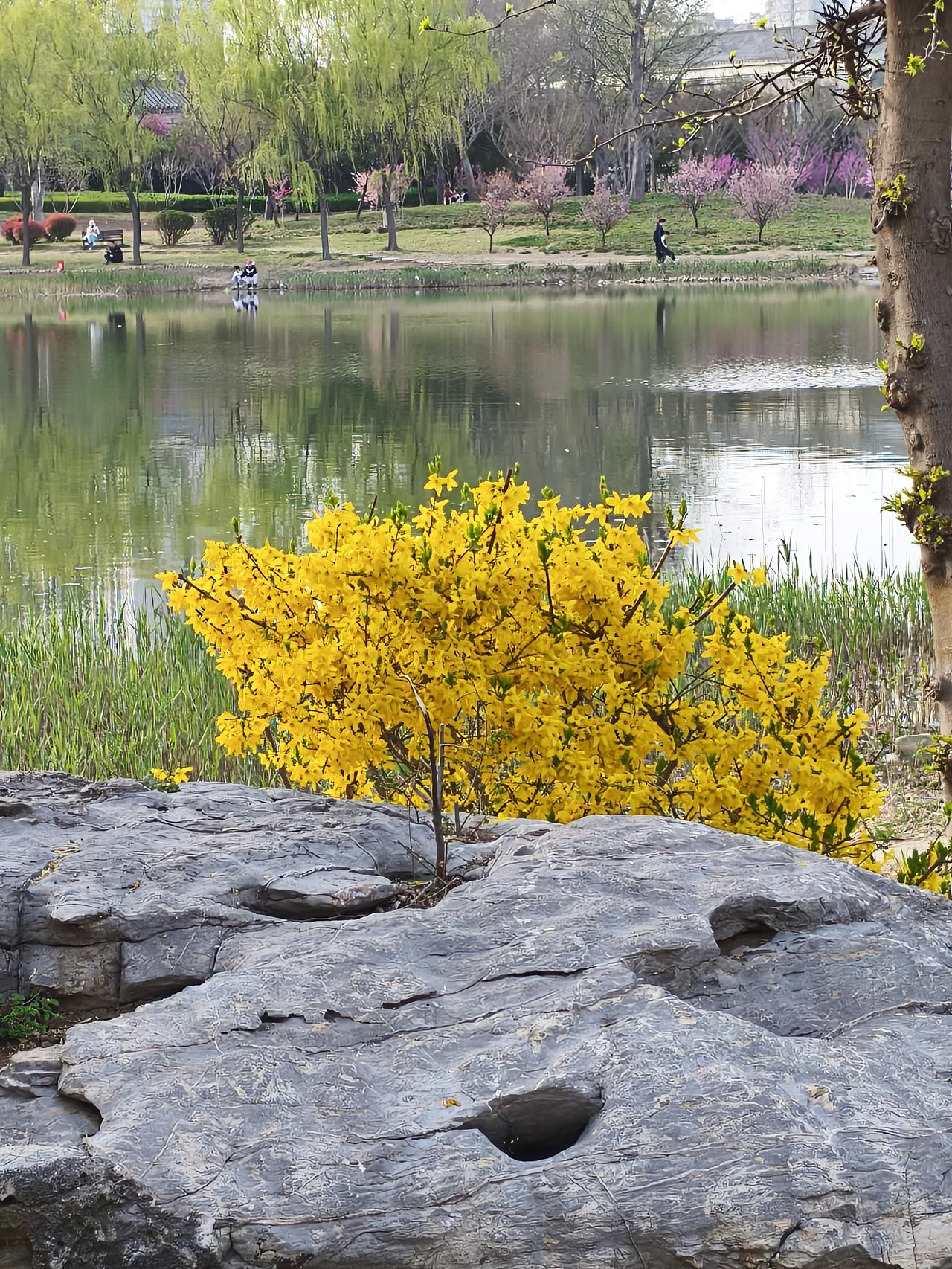 说心里话，开始的时候，我是生气的！时间长了，心里也慢慢释然了！都不容易！
好好的
