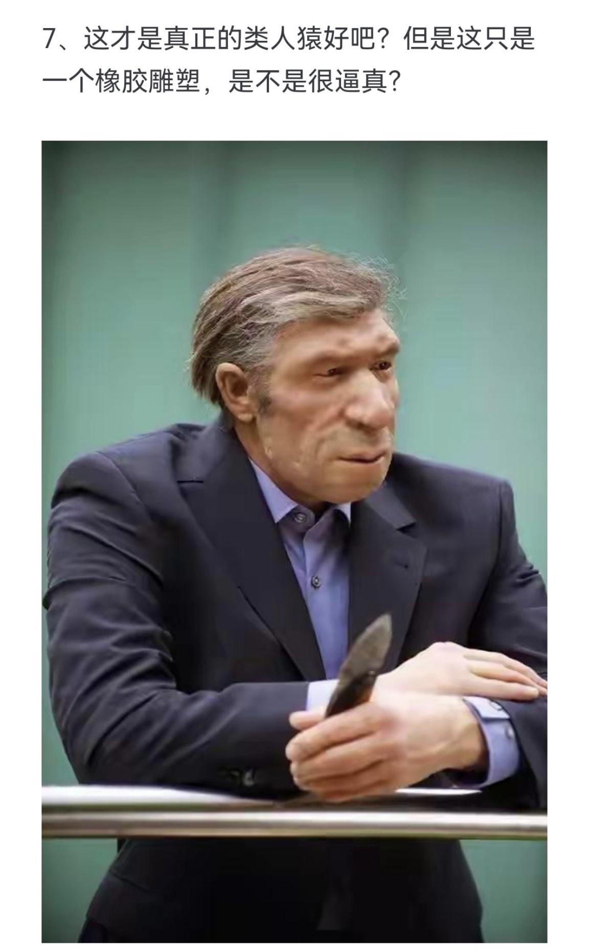 这才是真正的类人猿好吧 但是这只是一个橡胶雕塑 是不是很逼真