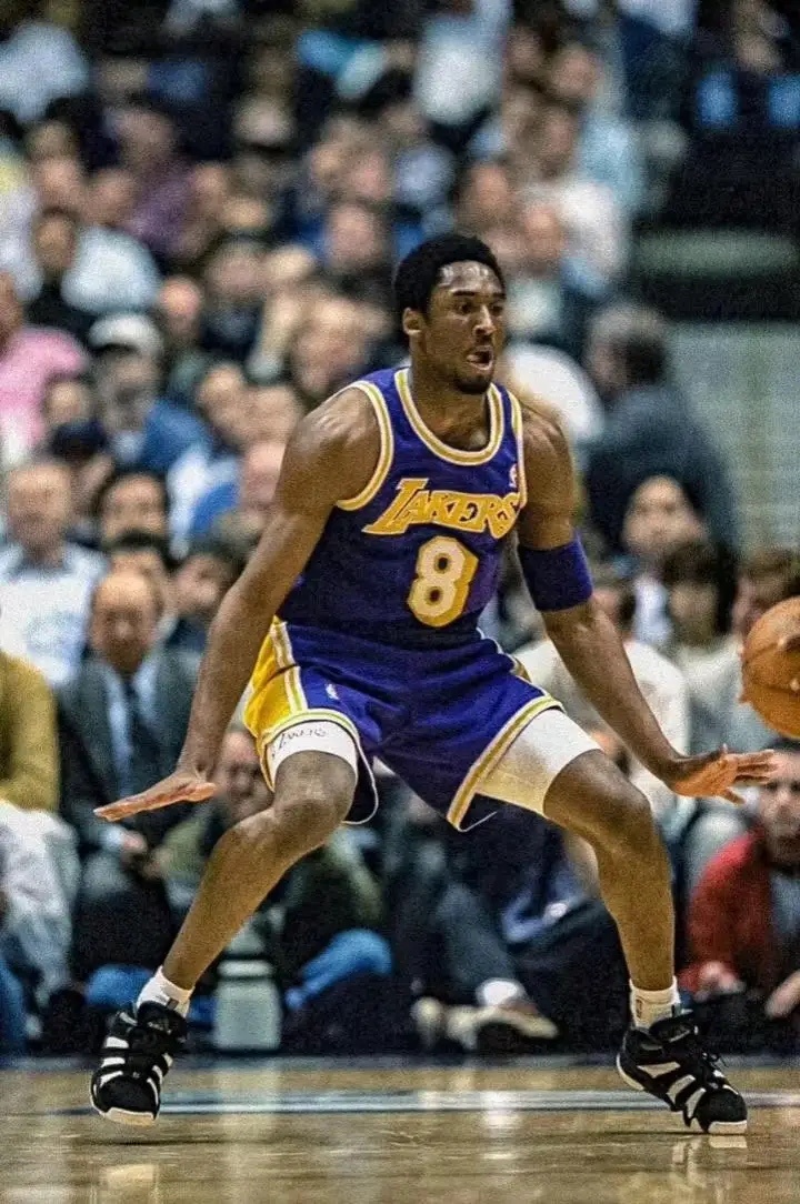 只要我们去总结跌倒的原因，把孕育的勇气树起，告别迷惘的昨天，拥抱美好的今天，微笑