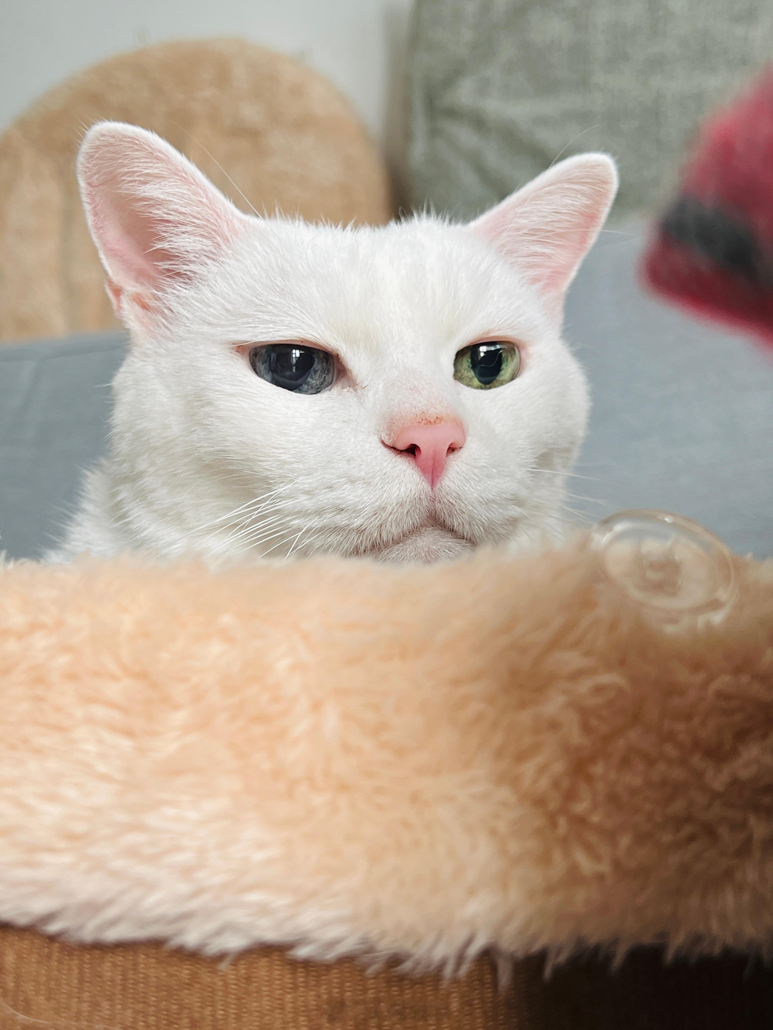 老寶就是帶爆米花香的美男紙🍿 ​​​