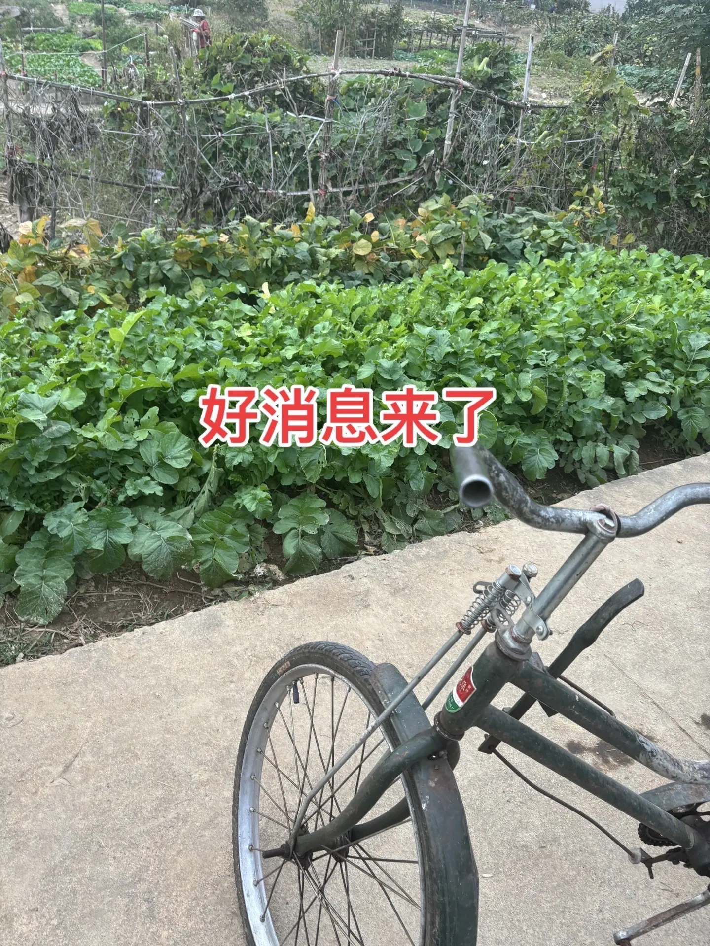 好消息 老百姓的心声 大数据推荐给有需要的人