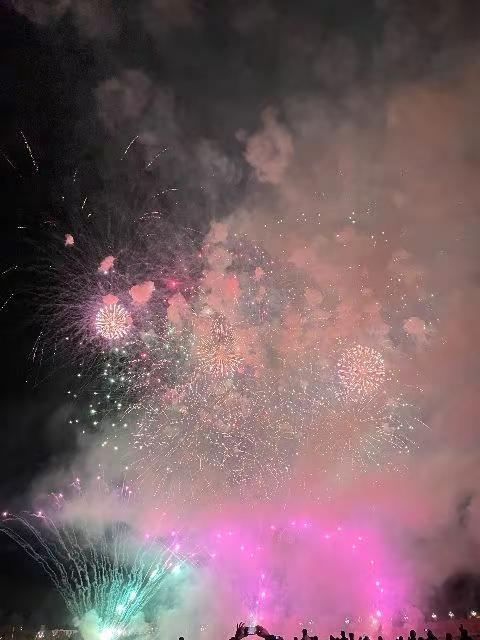 烟花照亮了夜空🎆，也照亮了新一年的征程，愿无惧无悔