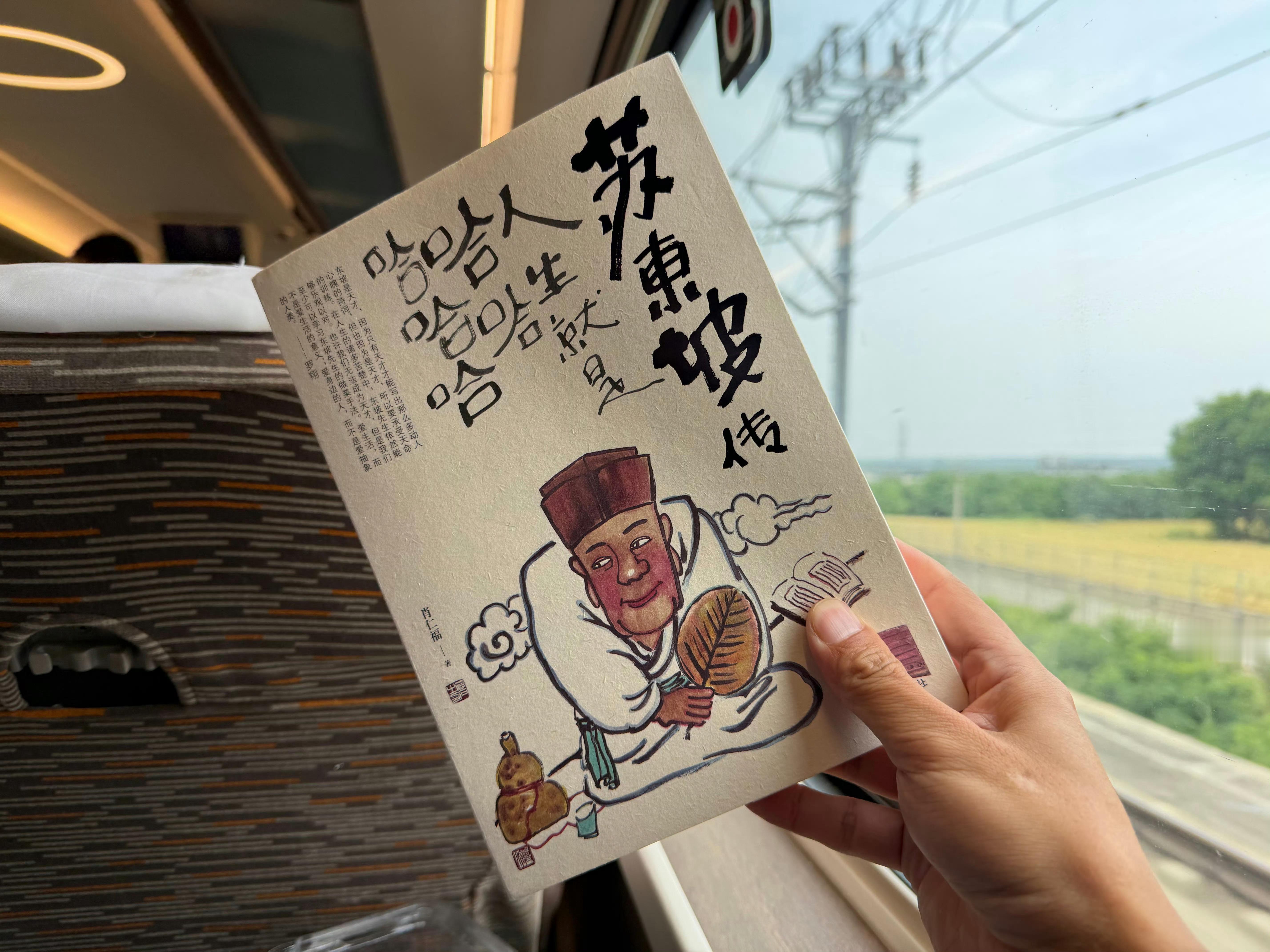 苏东坡传：一本优点和缺点同样明显的书（人生就是哈哈哈哈哈） 跑不动就读书 我对这