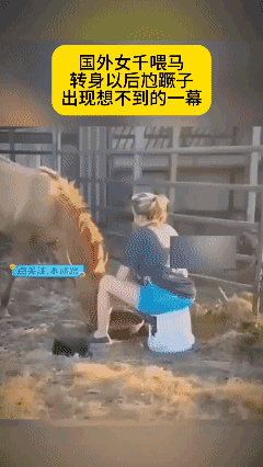 国外女子喂马，转身以后尥蹶子，发生意外！😱