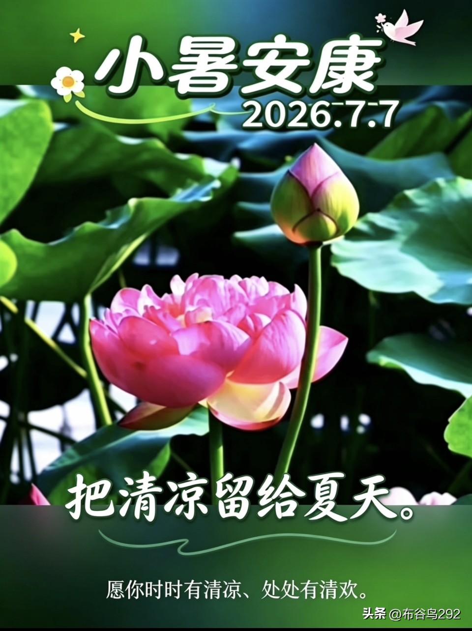 【小暑】
小暑炎蒸热浪翻
湿溽沾汗透薄衫
蛙鼓蝉鸣添燥意
心藏荷风自然凉
盛夏诗