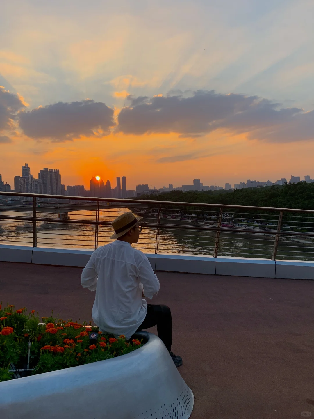 广州最近天气的含金量🌅