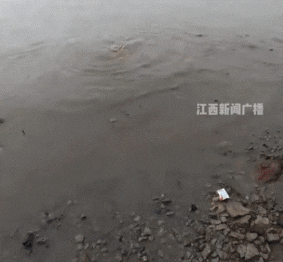 差点解释不清了！江西，一男子和朋友去钓鱼，好不容易有大鱼上钩了，结果离的越近他的