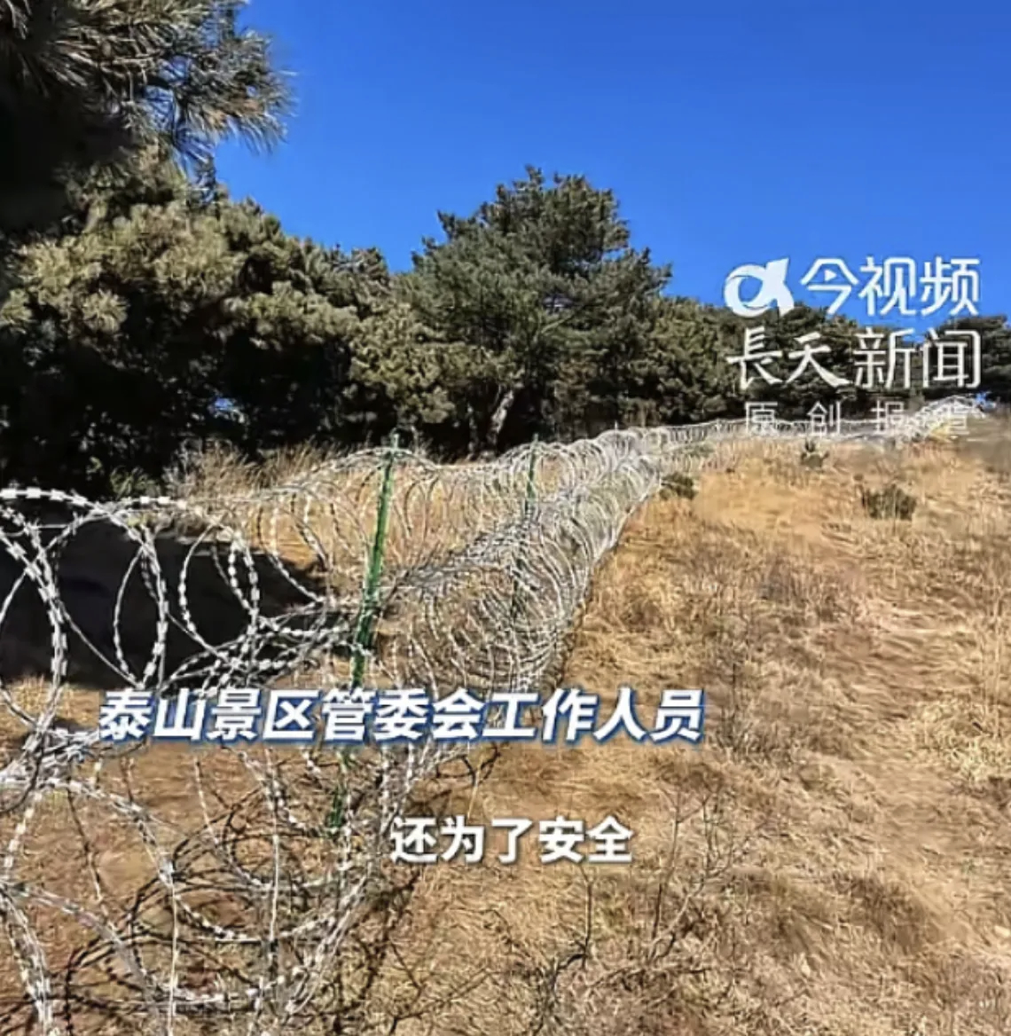 泰山刀片网若刺伤人景区将担责当管理方意识到刀片刺网一旦划伤路人就要承担法律责任时