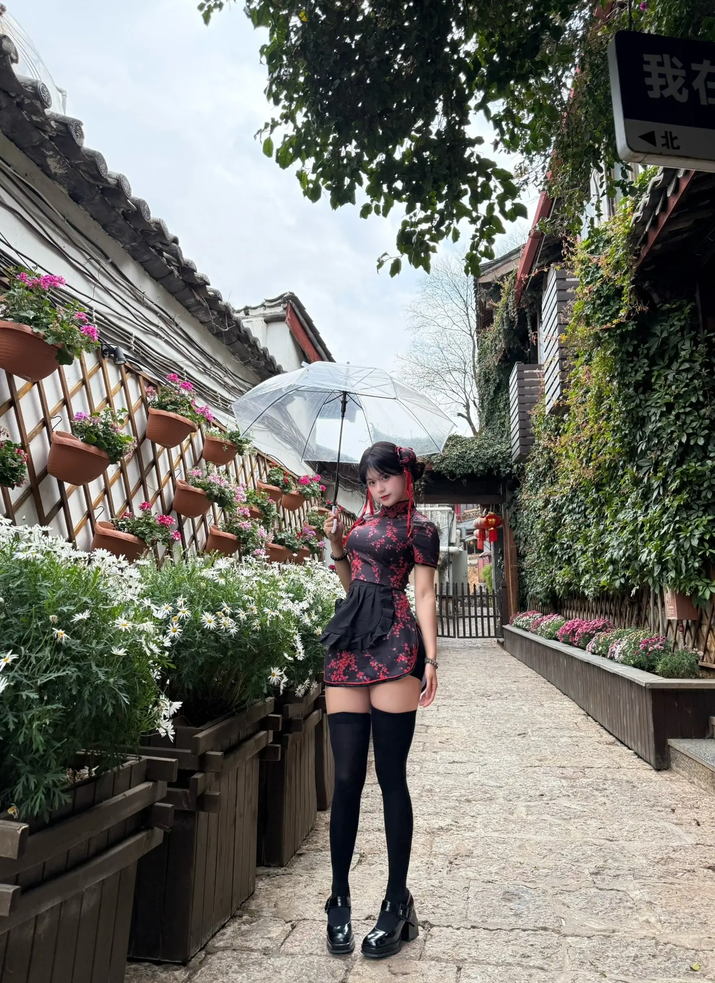 在丽江的慢生活