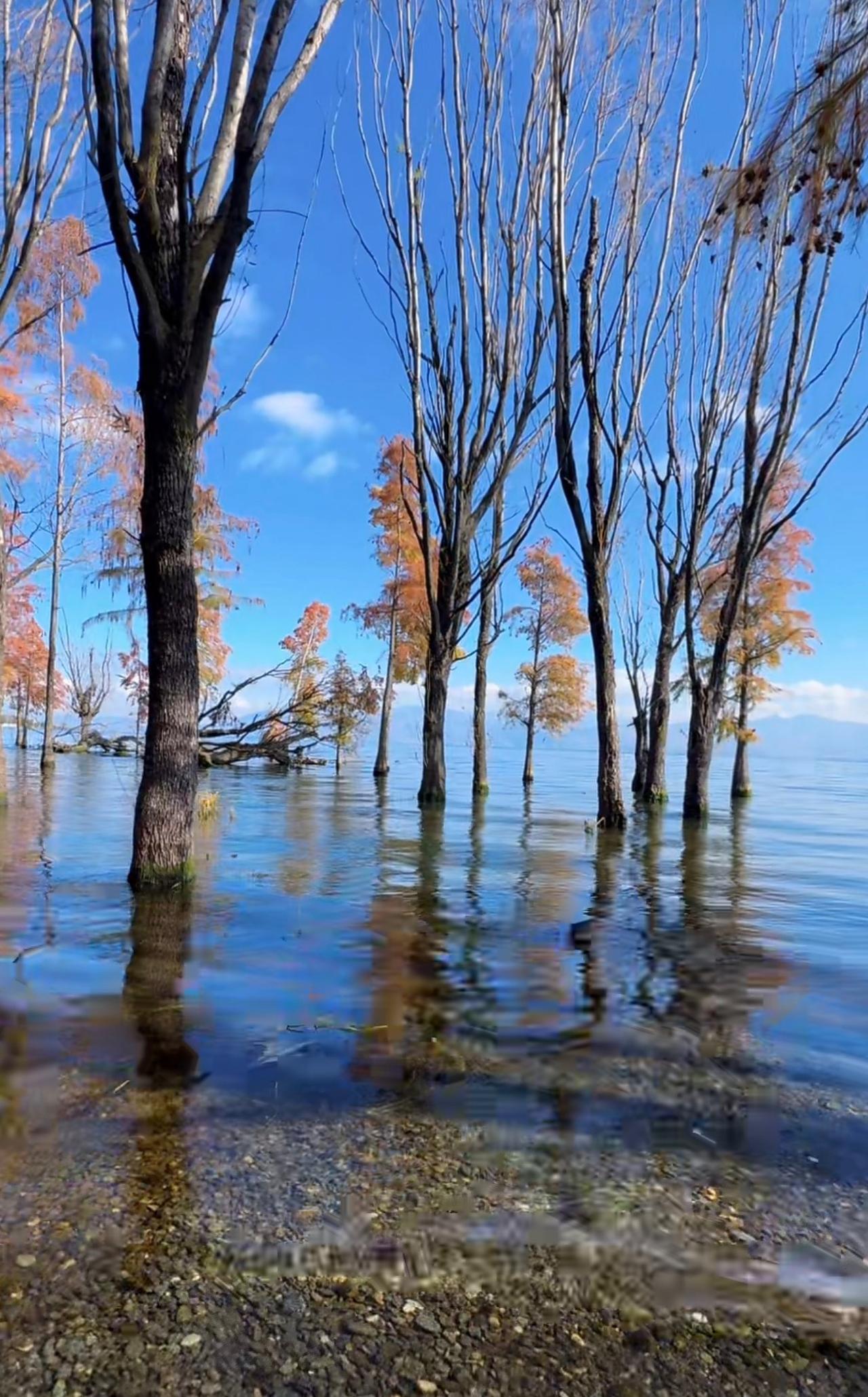 《庄子》说生命最大价值是情绪稳定，而稳定源于无惧和无悔。无惧，就是不害怕未来的事