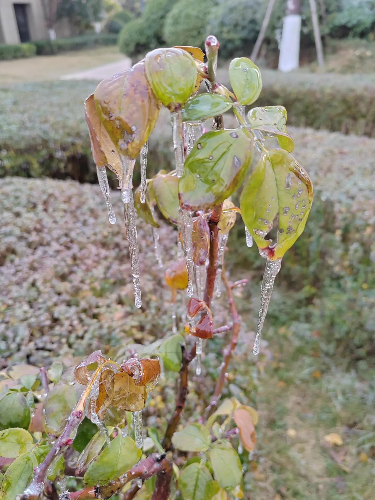 滴水成冰