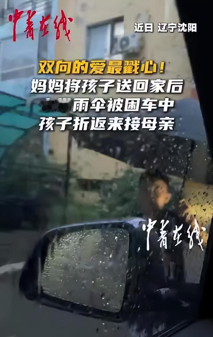 近日，辽宁。大雨中一位妈妈将孩子平安送回家自己去停车，因没带雨伞困在车内。孩子独
