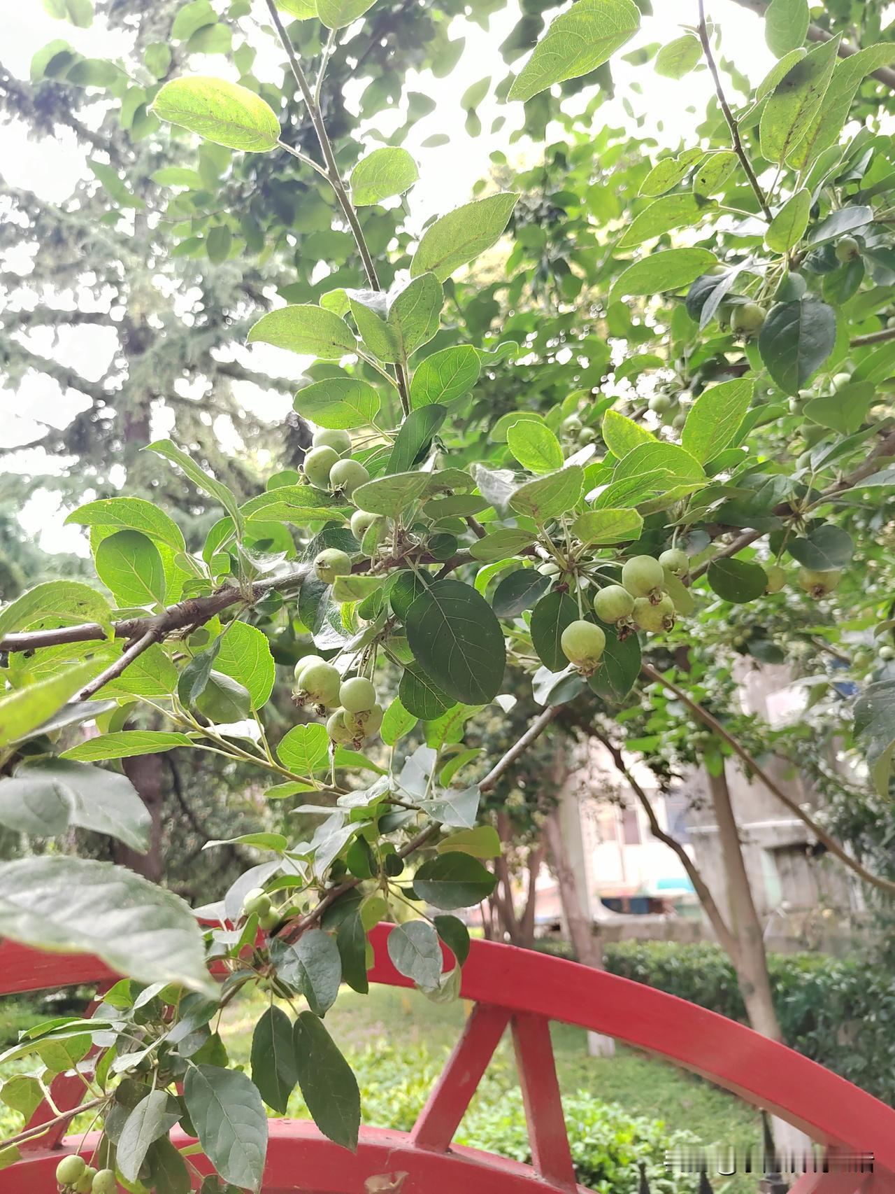 娱乐还算好，赌博就不好了。
退休了，没啥事儿了，让自己开心就没错。
但要选择好的