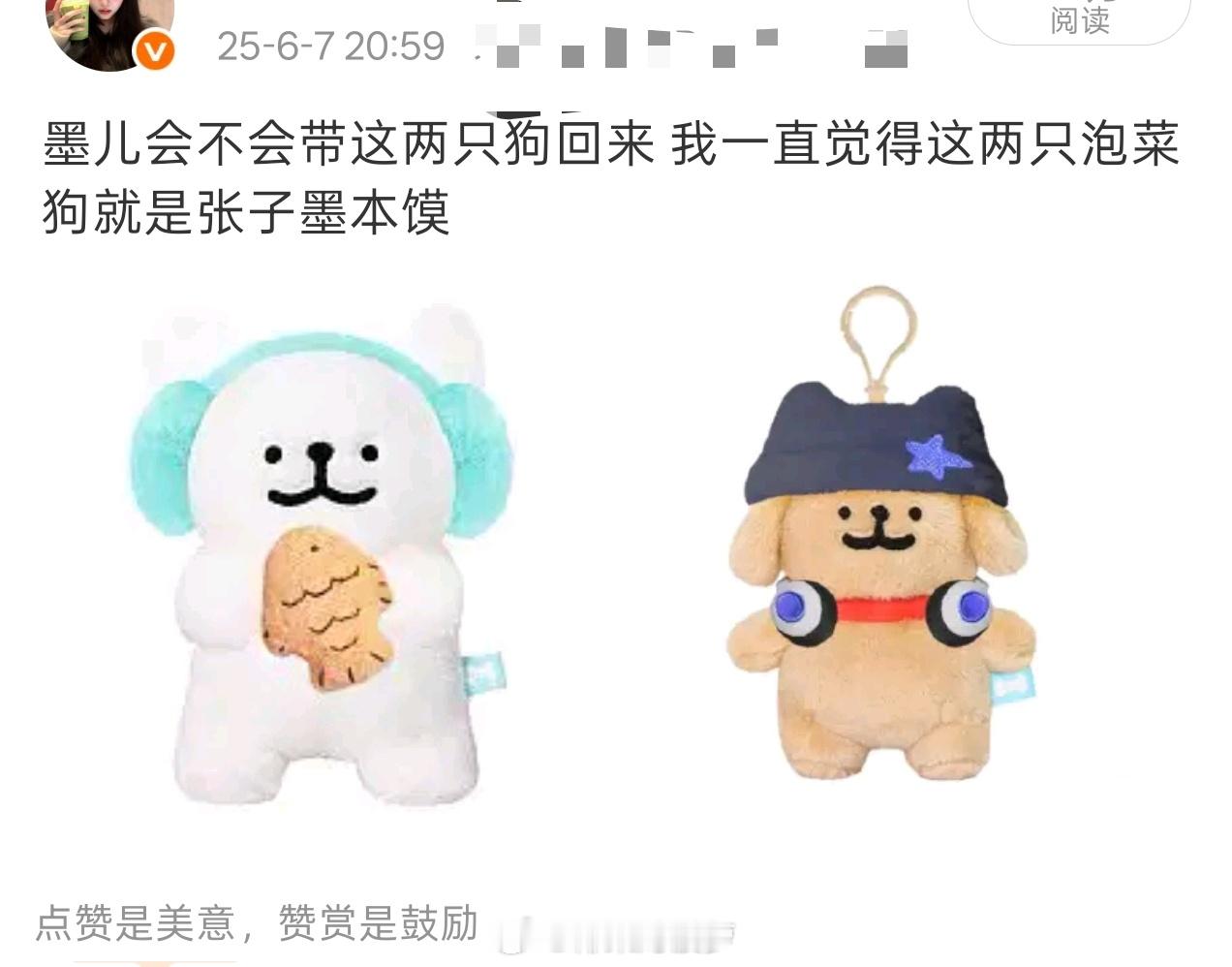 时隔一年我依旧觉得这两只狗是墨儿本体来的 