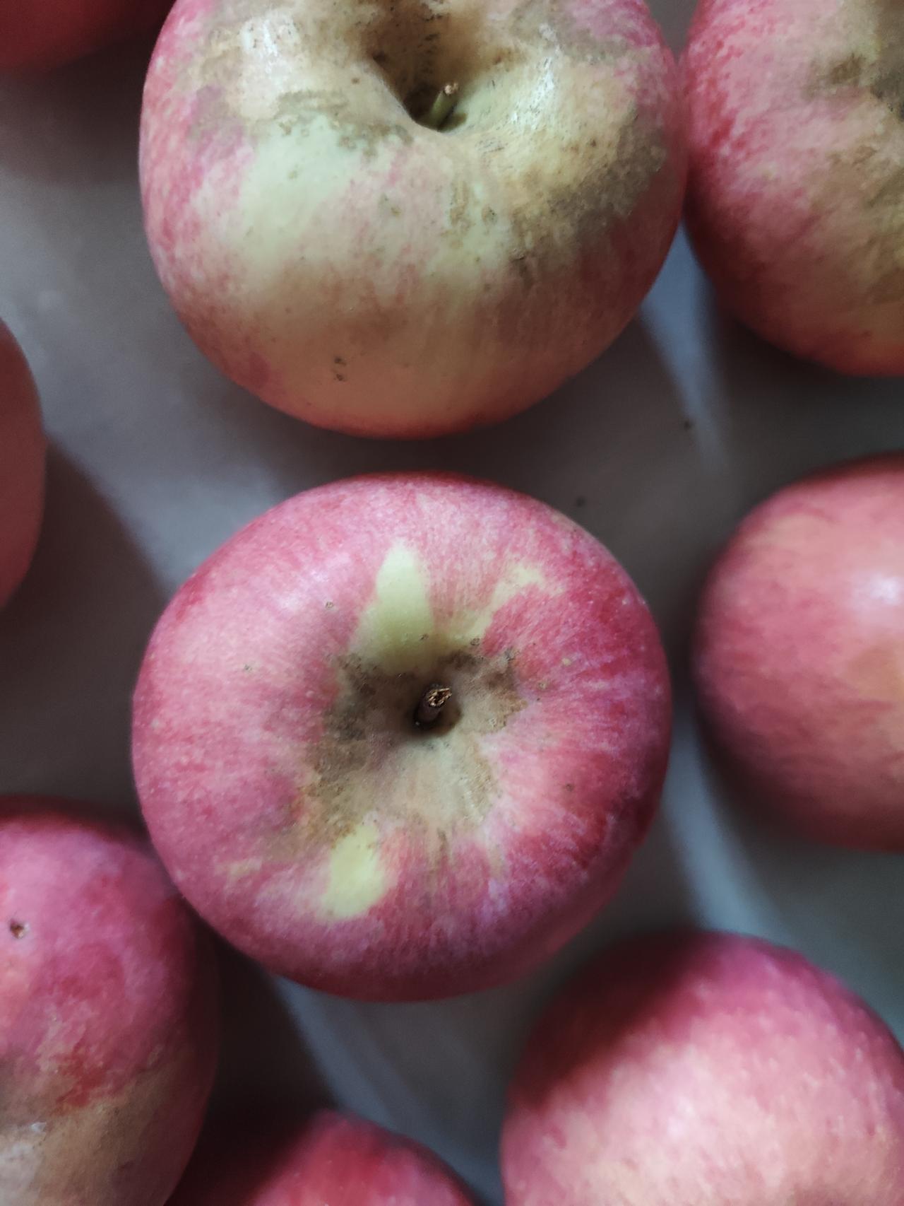 新鲜红苹果，自然美味，健康好选择！