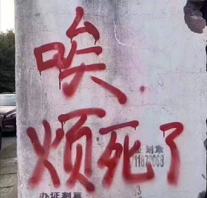 到底是谁在说JENNIE要巡演？