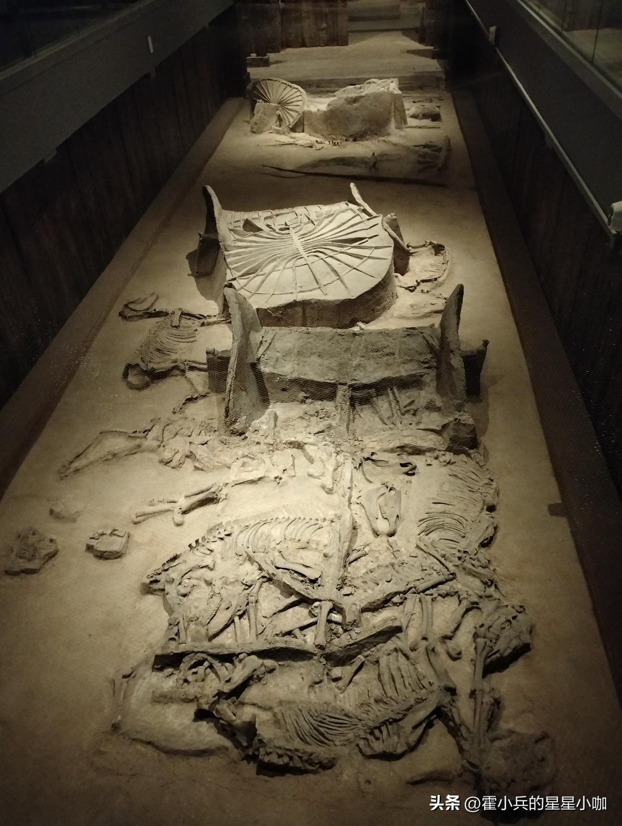 晒出你见过的重量级的博物馆文物随手拍北京丰台大葆台博物馆