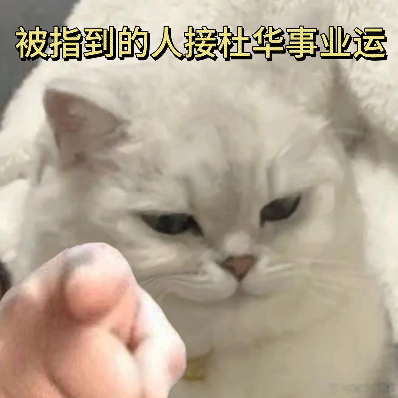 这才是杜华的本业 杜华作为乐华娱乐的创始人，推动了无数艺人的成功，从王一博到韩庚