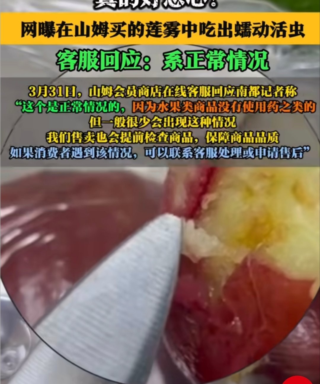 山姆客服称水果中吃出虫是正常情况水果蔬菜有虫确实是正常 ​​​