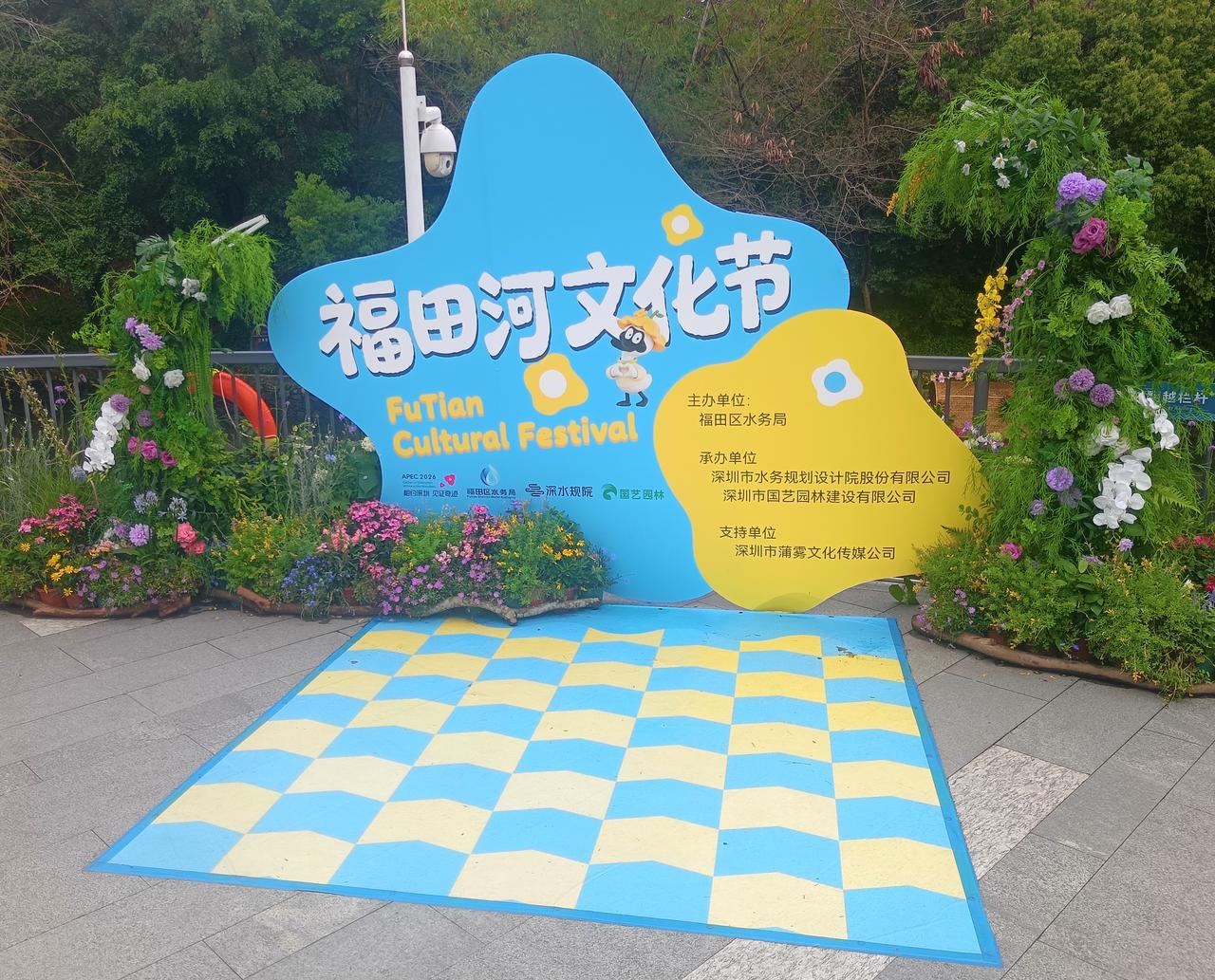 今日分享随手拍照片